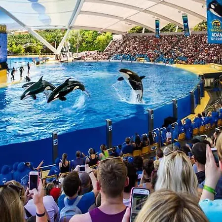 Sunset Cortes & Castro - Roques * Los Realejos