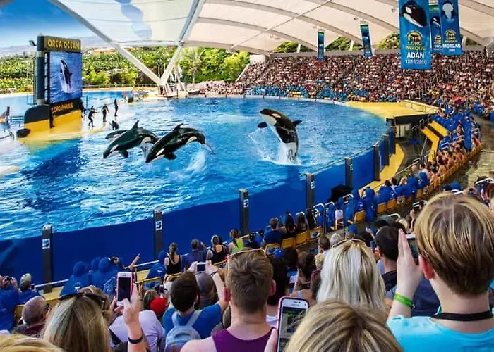 Sunset Cortes & Castro - Roques * 로스 레알레호스