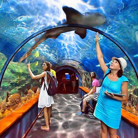 Sunset Cortes & Castro - Roques *