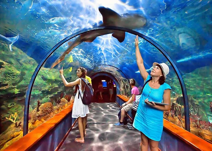 Sunset Cortes & Castro - Roques *